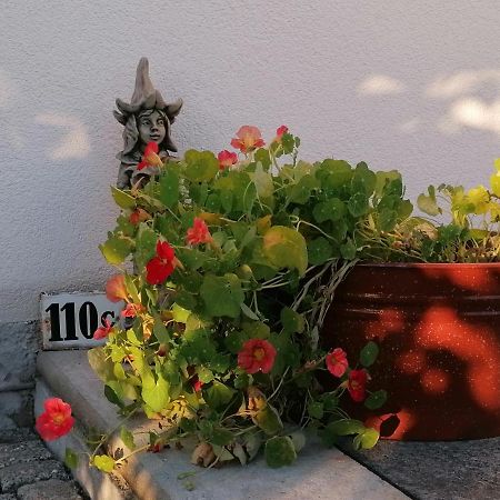 Kaethes Sommerhaus Schöna Kültér fotó
