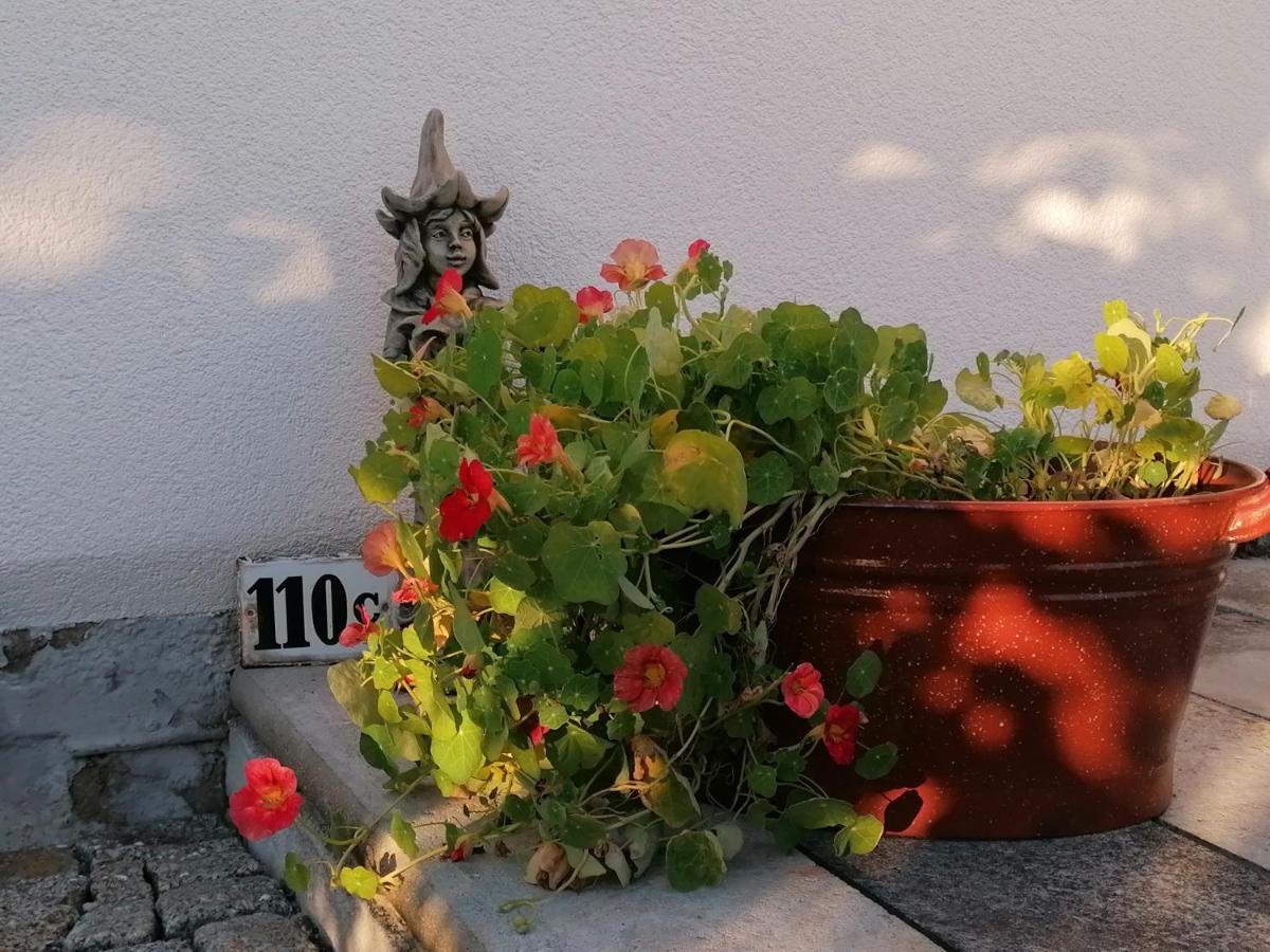 Kaethes Sommerhaus Schöna Kültér fotó